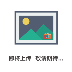 非甲烷总烃NMHC在线监测仪